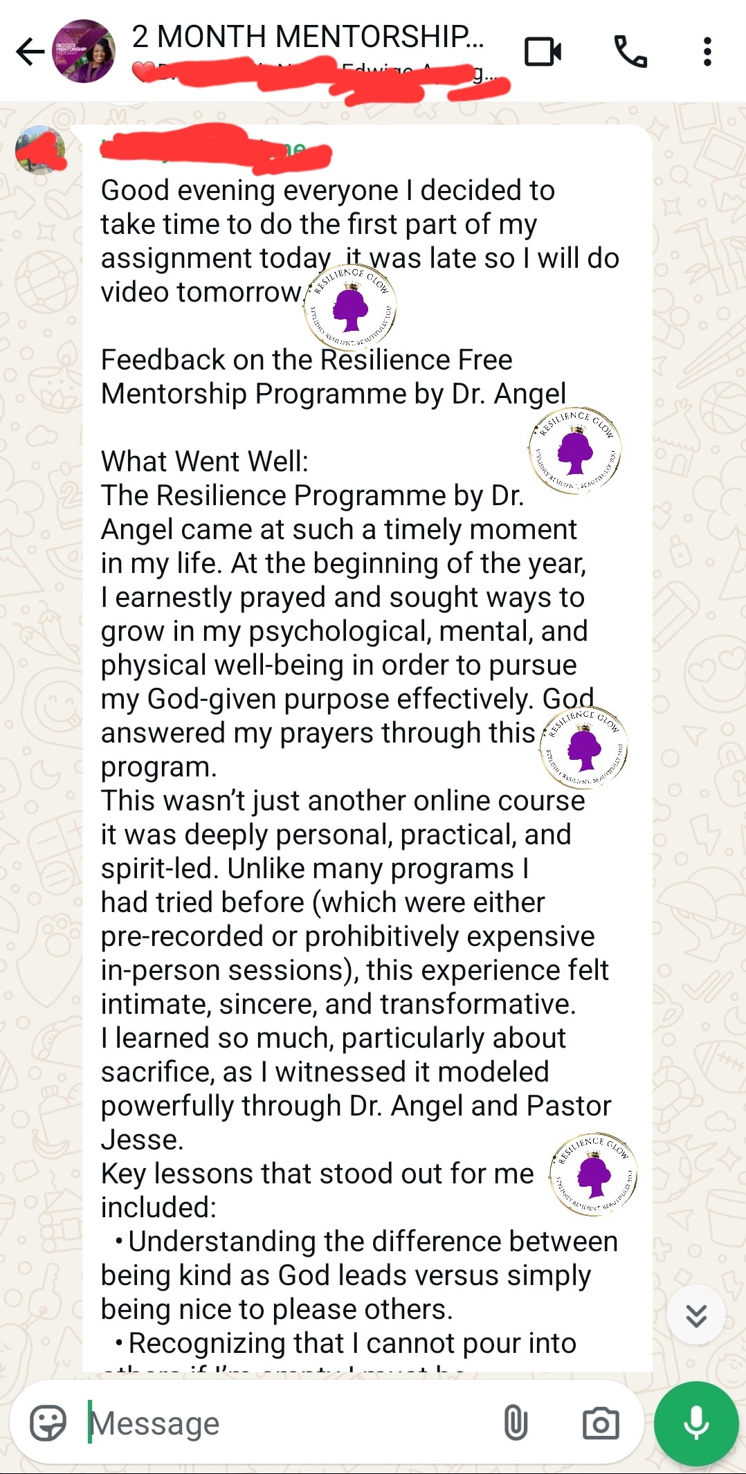 Mentorship participant feedback screenshot 6
